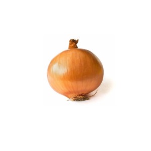 Sadike čebule Exhibition F1 9 kos