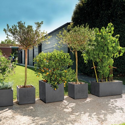 Deroma Korito za rastline Cubo Millennium 25 cm x 25 cm x 25 cm antracitno