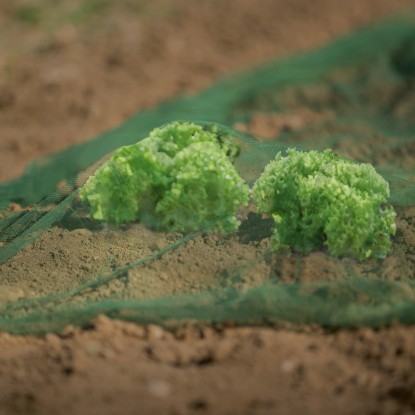 Mreža za zelenjavo in sadje 2 m x 5 m