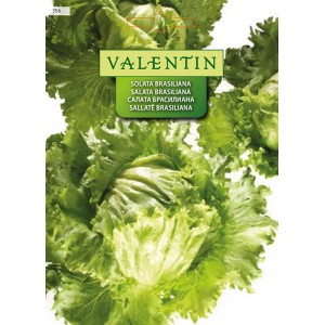 Valentin Solata Brasiliana