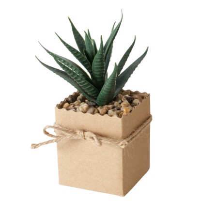 Boltze Lončnica Agamo 4 vrste sortirano 17 cm x 6 cm x 6 cm natur