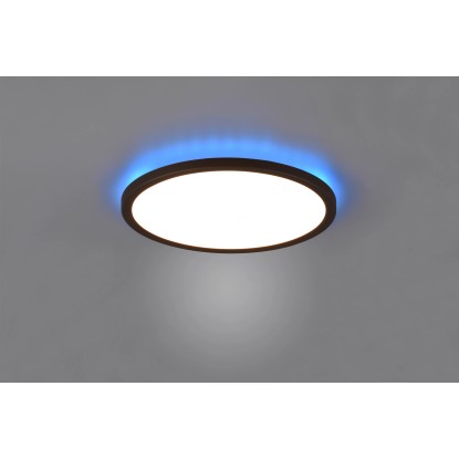 Reality Stropna LED-svetilka Aureo 1-plamenska črna mat Ø 29 cm