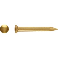 Žebelj z okroglo glavo Ø 1,2 mm x 20 mm prevlečen z medenino 100 kosov