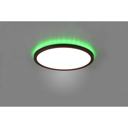 Reality Stropna LED-svetilka Aureo 1-plamenska črna mat Ø 29 cm