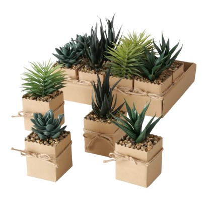 Boltze Lončnica Agamo 4 vrste sortirano 17 cm x 6 cm x 6 cm natur