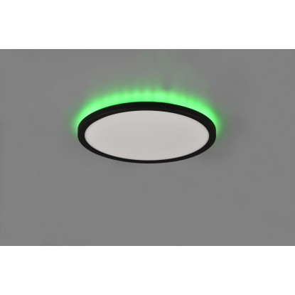 Reality Stropna LED-svetilka Aureo 1-plamenska črna mat Ø 29 cm