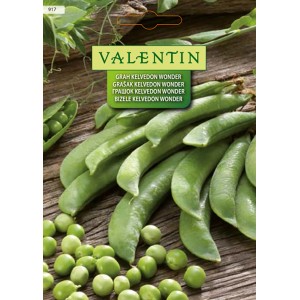 Valentin Grah Kelvedon Wonder