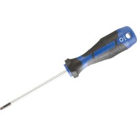 LUX-TOOLS Izvijač TX15 x 100 mm
