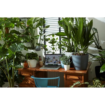 Elho Cvetlični lonec Brussels okrogel Ø 14 cm bel