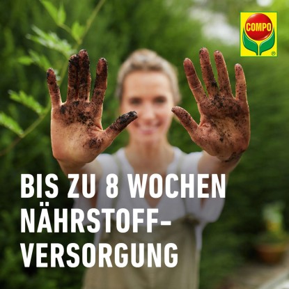 Compo Cactea Zemlja za gojenje kaktusov in sukulent 5 l