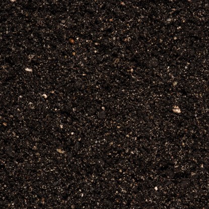 Compo Cactea Zemlja za gojenje kaktusov in sukulent 5 l