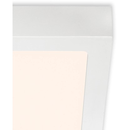 Briloner LED stropna in stenska svetilka Fire bela