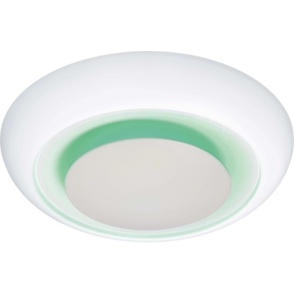 Stropna LED-svetilka Ferrilo 50 cm