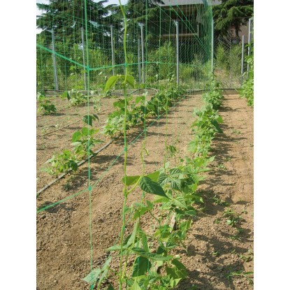 Oporna mreža Premium 10 m x 2 m