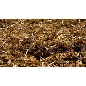 Miskantus Zastirka ali stelja za živali 60 l