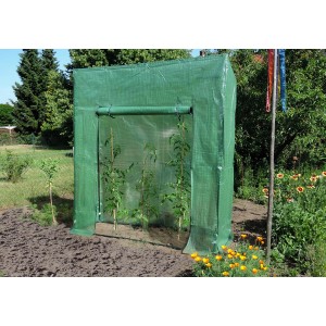 Rastlinjak za paradižnik