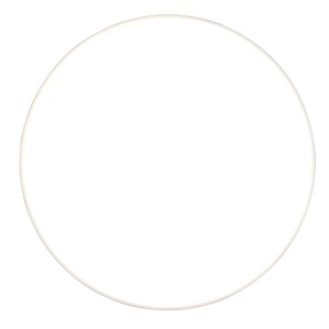 Reality LED Stropna svetilka Spica 6 cm x 27 cm x 27 cm bela