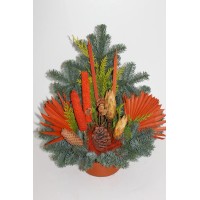 Nagrobni lonec Nobilis, pribl. 18 cm, oranžen