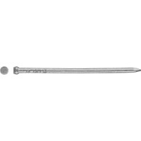 Žebelj za talne letve Ø 1,4 mm x 30 mm pocinkani 100 kosov