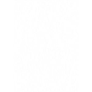 Stenski in stropni panel Dekor univerzalna bela sijaj 260 cm x 20,2 cm x 1 cm