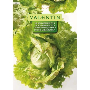 Valentin Solata Laibacher Eis 4