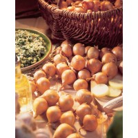 Šalotka Golden Gourmet