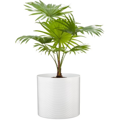 Scheurich Zunanji cvetlični lonček 828 Ø 19 cm Panna