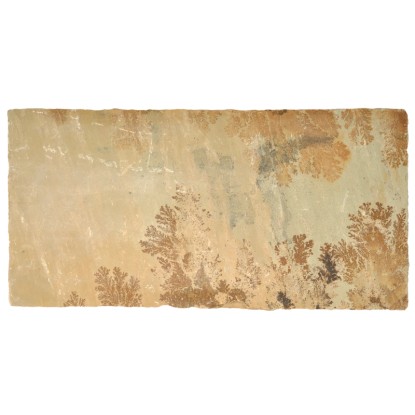 Terasna plošča iz peščenjaka, zlatorjava, 60 cm x 40 cm x 3 cm