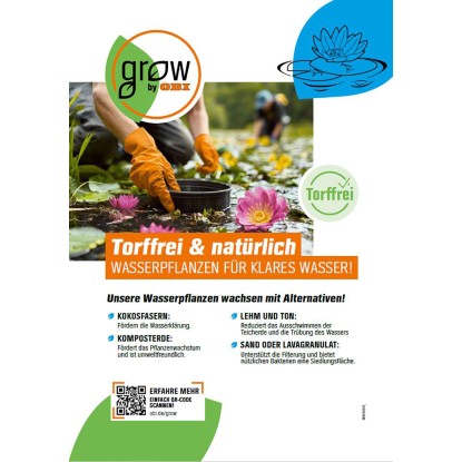 OBI Vodne rastline prijazne do žuželk 6 v kompletu Ø lonca pribl. 9 cm