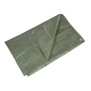 LUX-TOOLS Ponjava 2 m x 3 m zelena barva