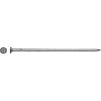 LUX-TOOLS Žičnik z ravno glavo Ø 5,5 mm x 140 mm svetli 1 kg