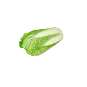 Sadike kitajskega zelja Yuki F1 9 kos