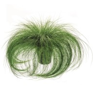 GROW by OBI Nežna bodalica "Ponytails" Ø lonca pribl. 14 cm Stipa tenuissima