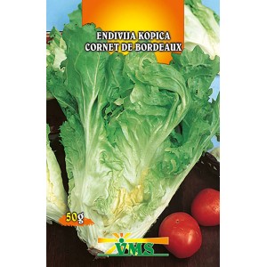 VMS Endivija Kopica Cornetto di Bordeaux 50 g
