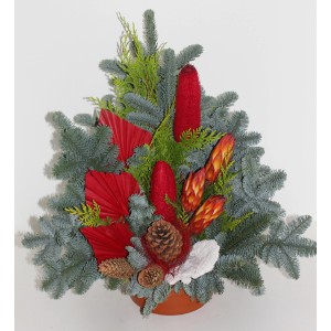 Nagrobni lonec Nobilis, pribl. 20 cm, rdeč