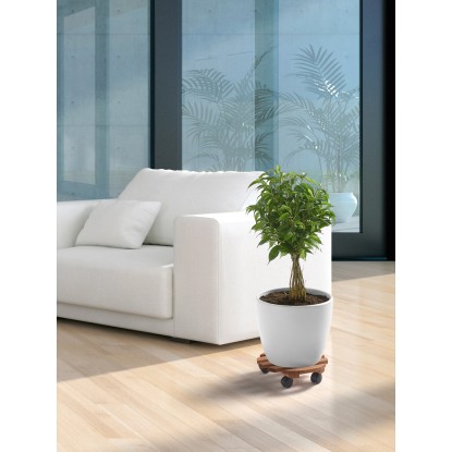 Premičen podstavek za rastline mahagoni in bukev, okrogel, Ø 30 cm