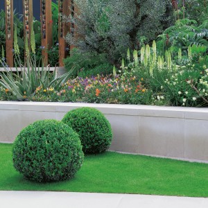Pušpan Krogla Lonec pribl. 12 l Višina pribl. 40-50 cm Buxus sempervirens