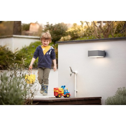 Philips myGarden Zunanja stenska svetilka Hedgehog-E