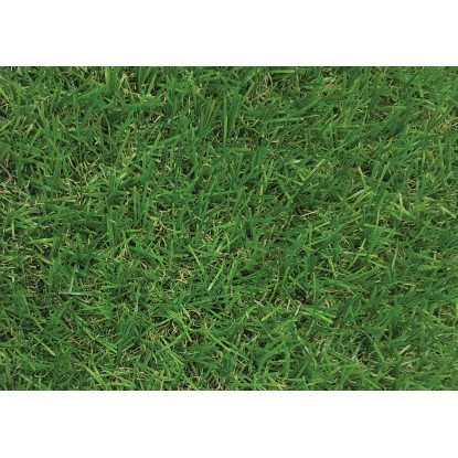 Komplet ploščic na klik Umetna trava 6-delni 30 x 30 cm