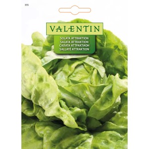 Valentin Solata Attraktion