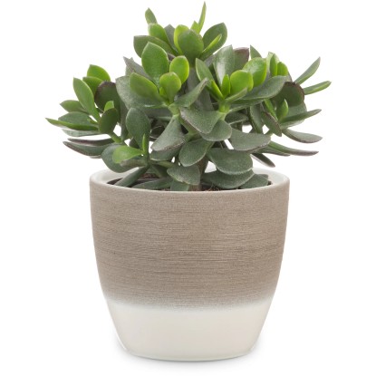 Scheurich Zunanji cvetlični lonček 950 Ø 14 cm Espresso krem