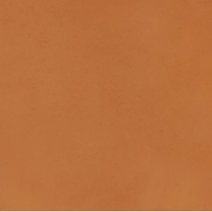 Dekorativna ploščica Portugal Sesimbra 20 cm x 20 cm