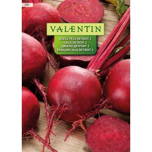 Valentin Rdeča pesa Detroit 2