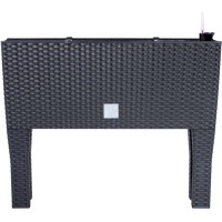 Prosperplast Visoka greda v videzu ratana 60 cm x 25 cm x 46 cm antracit