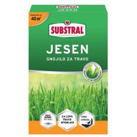Substral Gnojilo za travo z dolgotrajnim delovanjem Jesen 2 kg