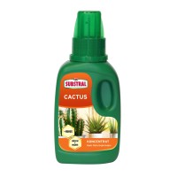 Substral Gnojilo za kakteje 250 ml