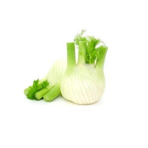 Sadike koromača Solaris F1 9 kos