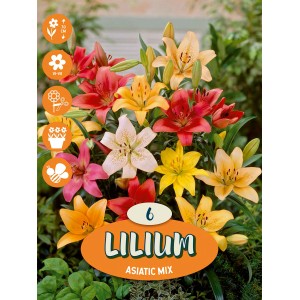 Azijske lilije "Mischung"