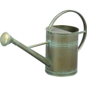 Zalivalka iz kovine 63 cm x 19 cm x 37 cm bronasta