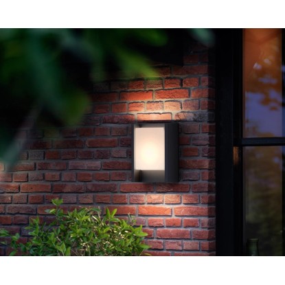Philips Zunanja stenska LED-svetilka Arbour antracitna